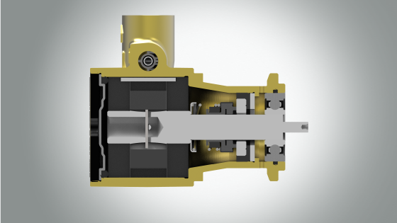Direct drive rotary vane pump